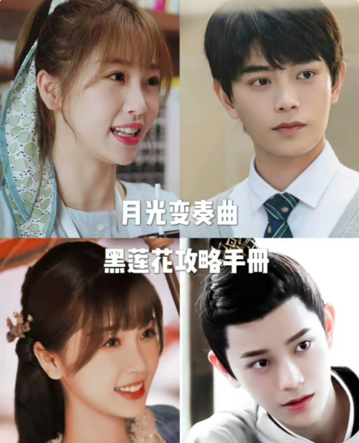 黑莲花攻略手册讲什么-黑莲花攻略手册网盘资源