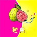野花韩国高清中文免费观看视频最新版