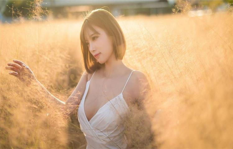 ZoomZookeeper狗使用指南