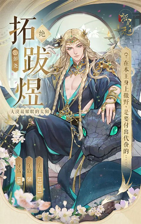 摇光录乱世公主正式版