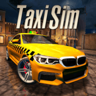 出租车游戏模拟器Taxi Game_logo